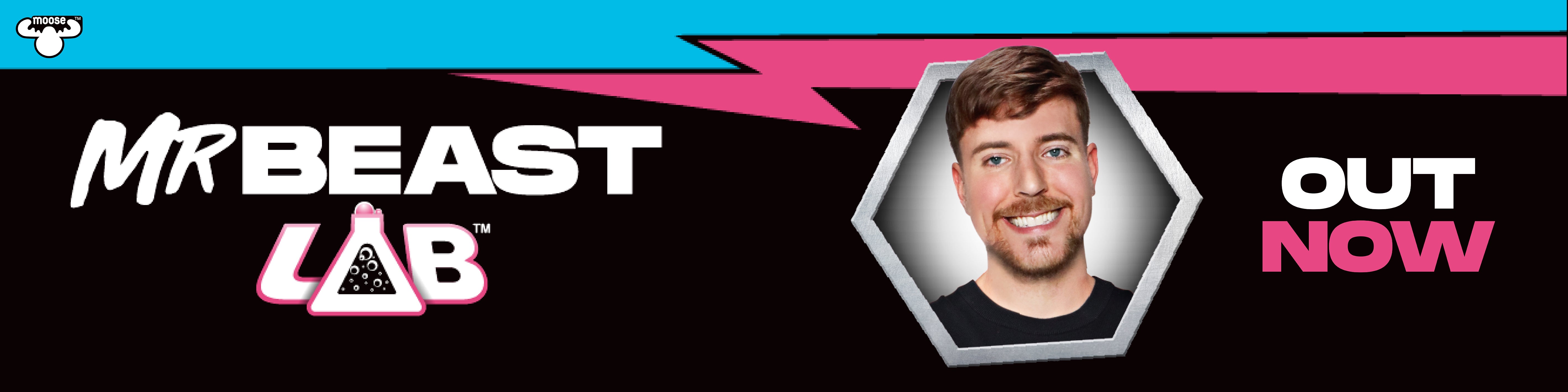 Mr Beast Lab
