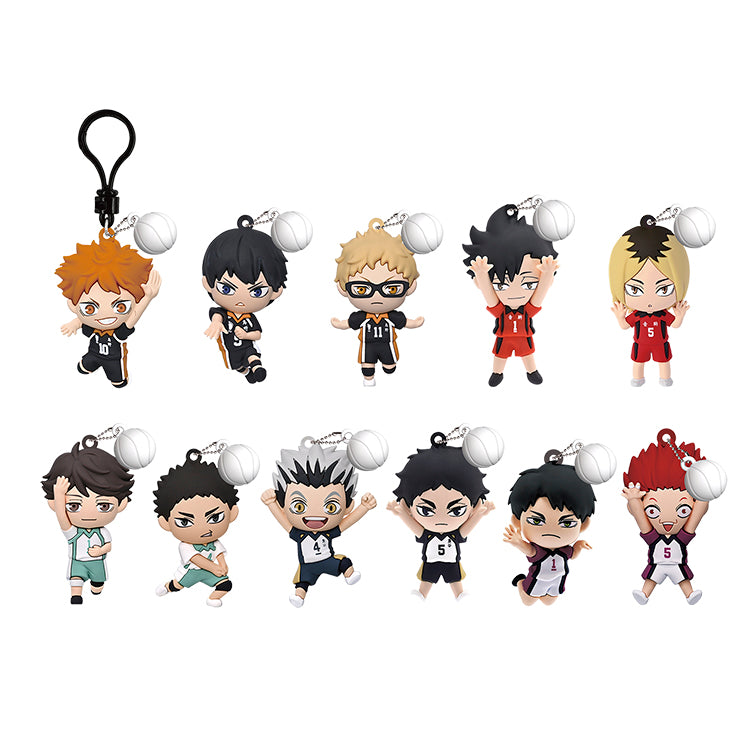Haikyuu! Series 5 3D Collectable Keychains